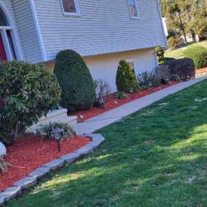 red mulch walkway 