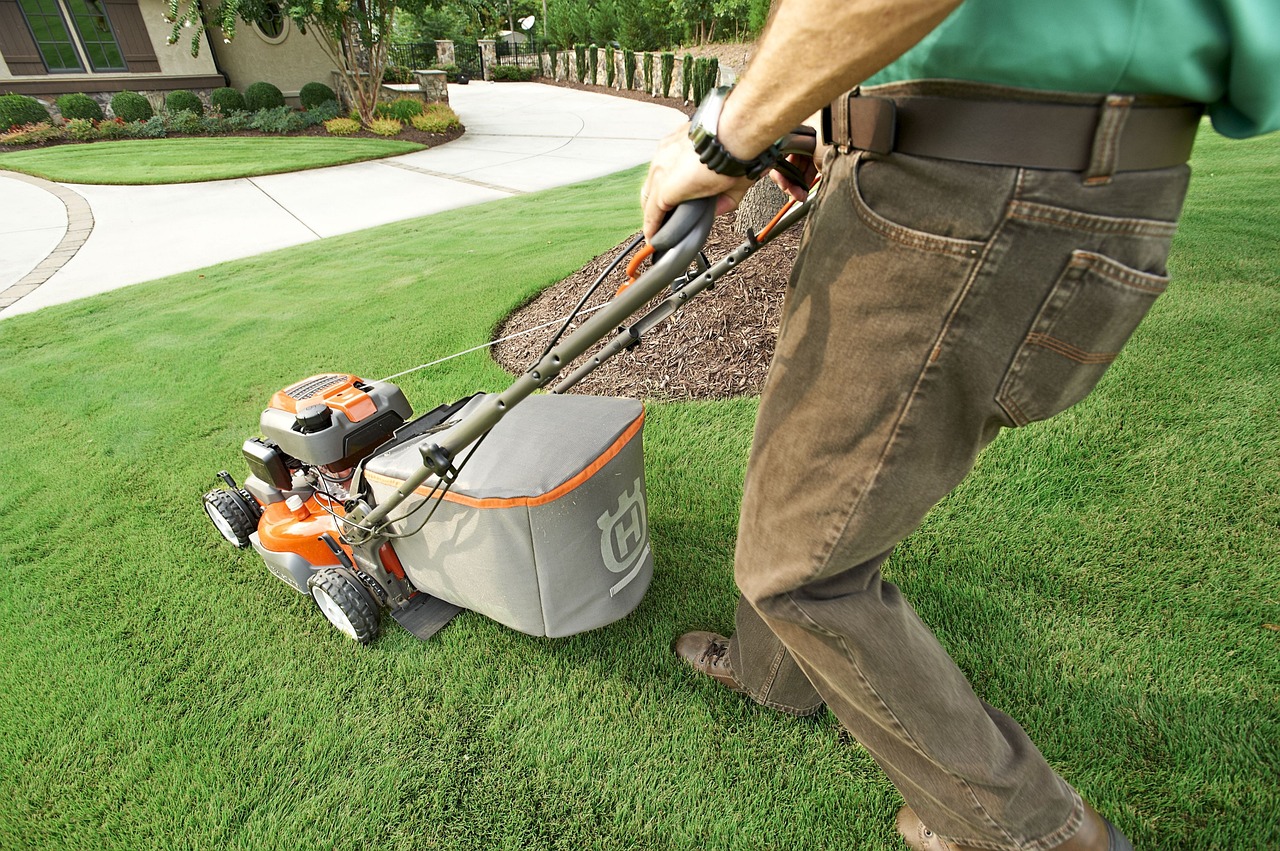 Lawn Cutting & Treatment